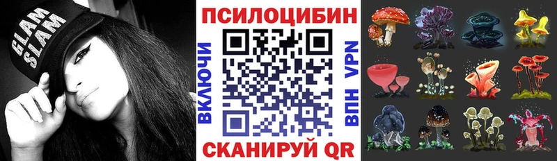 Галлюциногенные грибы Psilocybine cubensis  Вяземский 